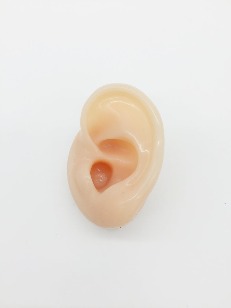 Body Colour Soft Silicone Ear Earring Display Life Size, Jewellery Photo Prop (4104)