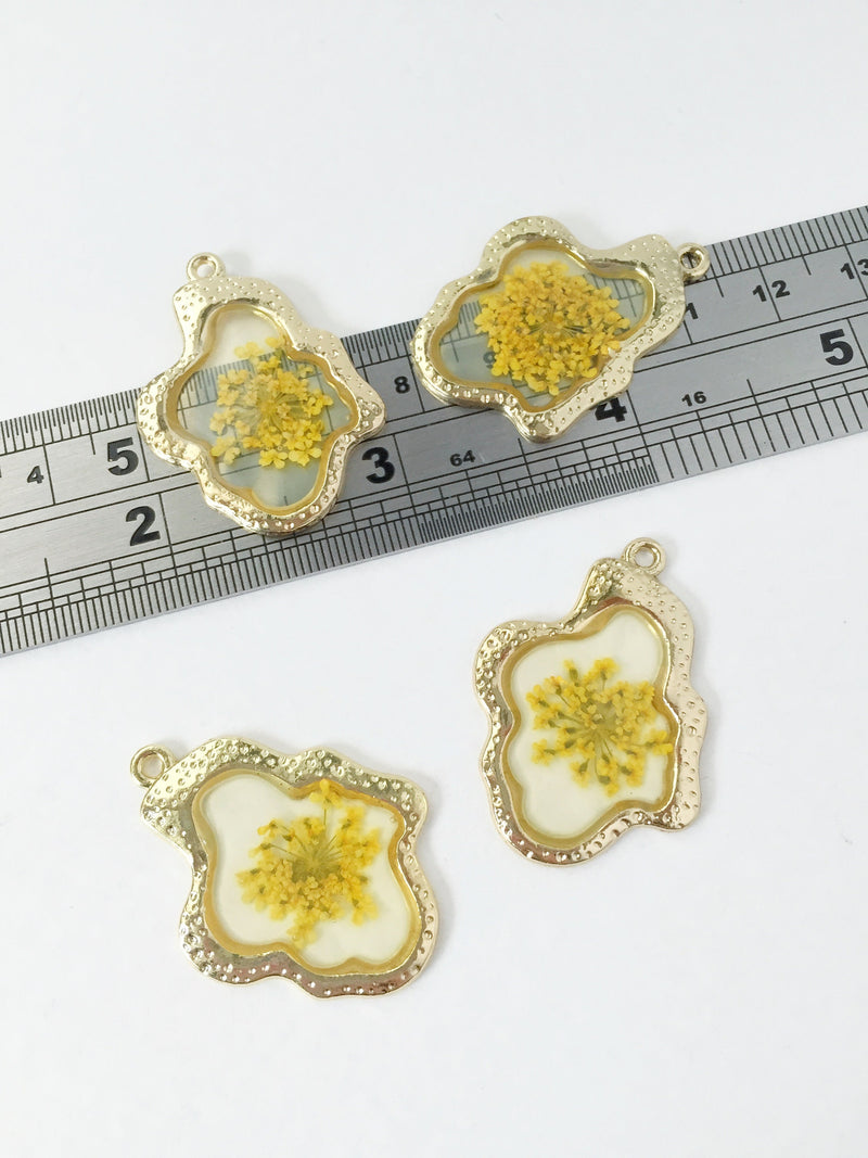 1 x Dried Anne's Lace Flowers Pendant, 35x26mm (1031)