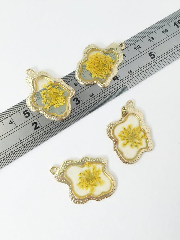 1 x Dried Anne's Lace Flowers Pendant, 35x26mm (1031)