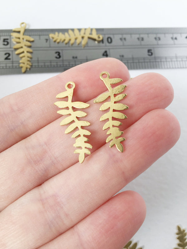 6 x Raw Brass Fern Leaf Charms, 29x12mm (C0060)