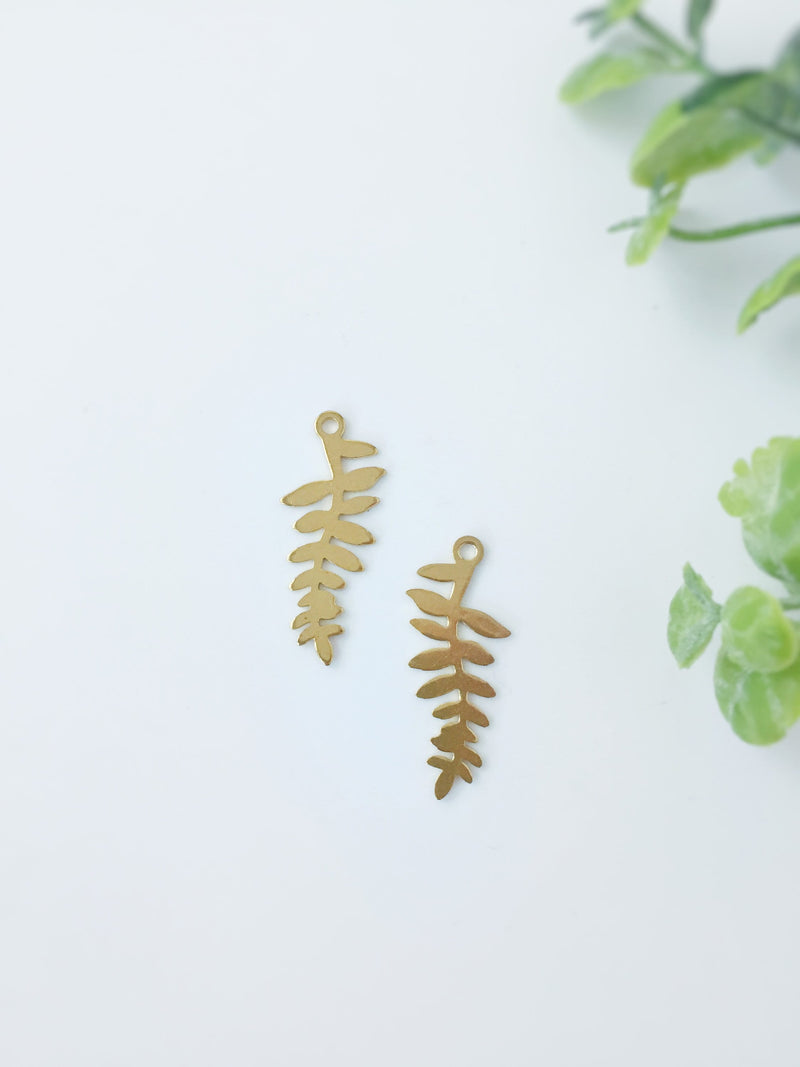 6 x Raw Brass Fern Leaf Charms, 29x12mm (C0060)