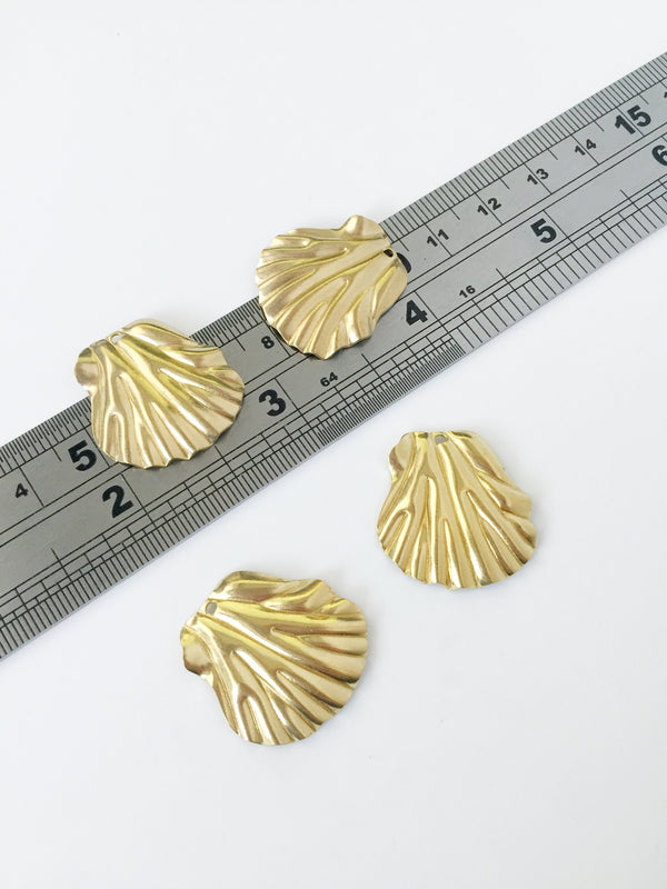 6 x Large Raw Brass Shell Charms, 23x22mm (C0037)