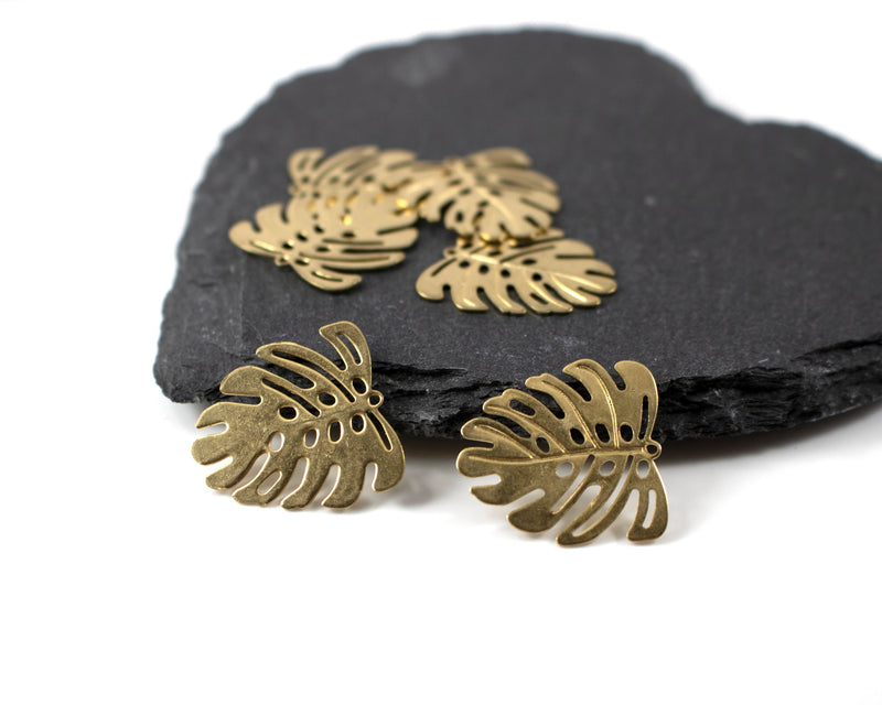 4 x Raw Brass Monstera Leaf Pendants, 22x21mm (C0097)