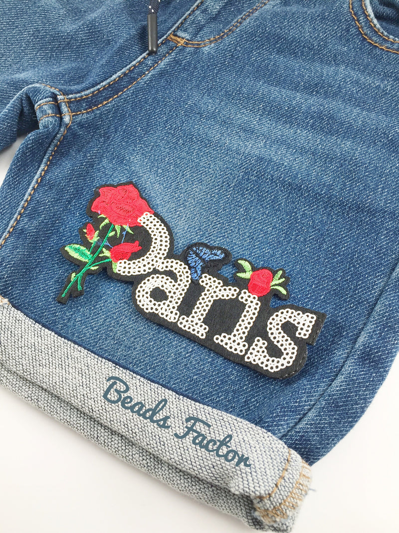 Paris Iron-on Patch, Paris and Rose Applique Embroidery