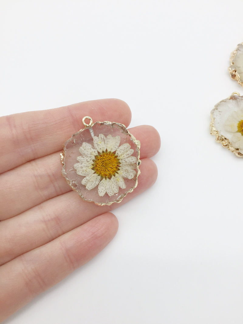 1 x Preserved Daisy Resin Pendant, 35x32mm (3499)