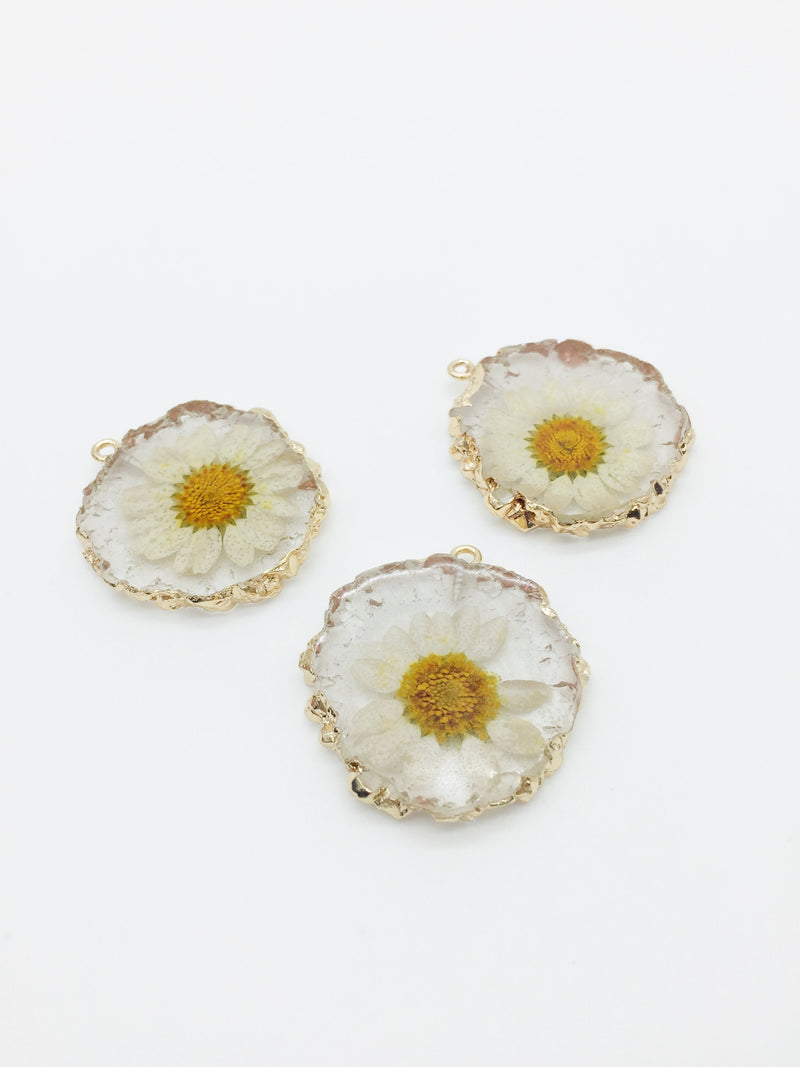 1 x Preserved Daisy Resin Pendant, 35x32mm (3499)