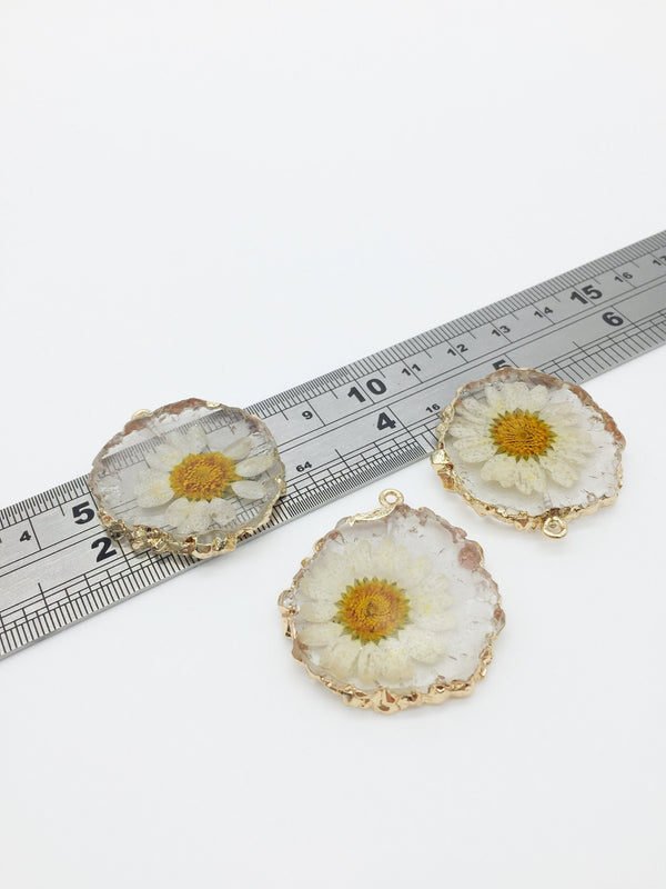 1 x Preserved Daisy Resin Pendant, 35x32mm (3499)